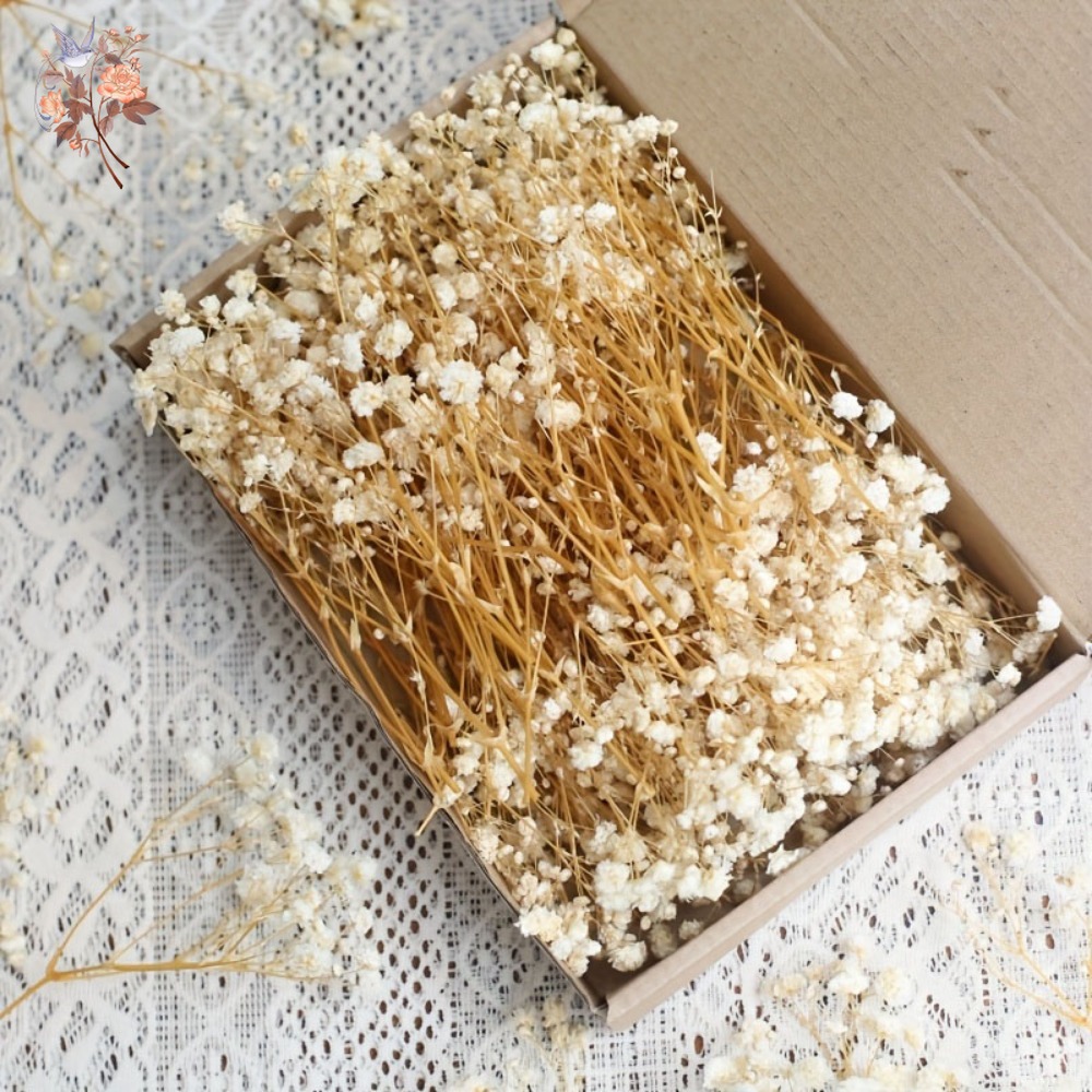 Resin Craft Ideas - 100개 미니 드라이 베이비스 브레스 꽃,