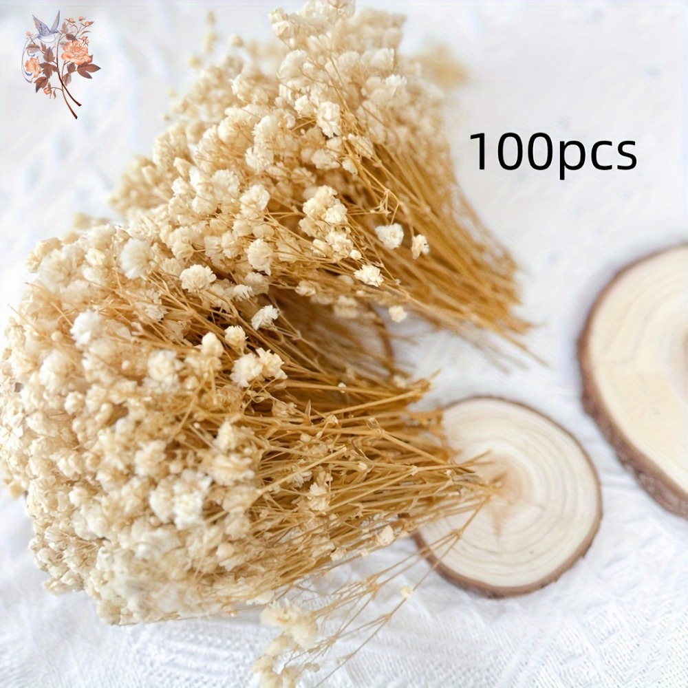 100개 미니 드라이 베이비스 브레스 꽃, 레진 공예  - Resin Craft Ideas 리뷰 및 가격